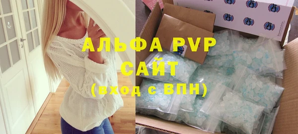 дурь Инсар