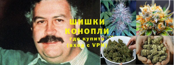 шишки Вязьма