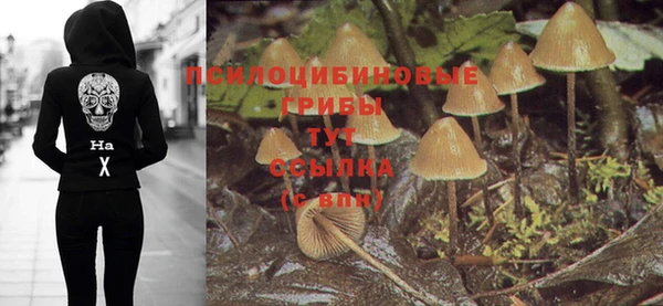 синтетический гашиш Волоколамск