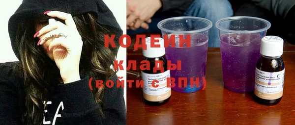 гидра Вяземский