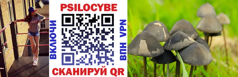 Галлюциногенные грибы мицелий  Бузулук 